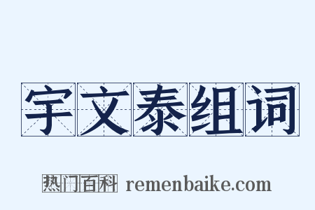 宇文泰组词是什么意思的图片